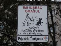 Imagine atasata: Iubesc orasul - 2013.12.17 - 1.jpg